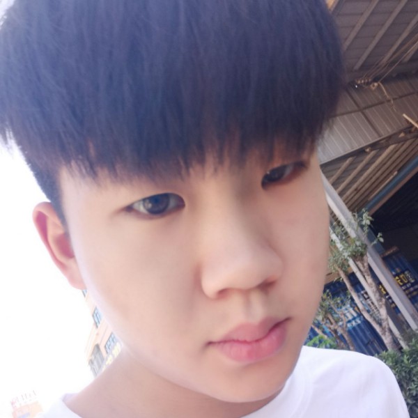 鸭子温婉的照片