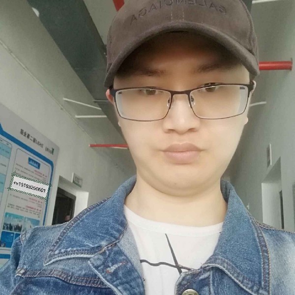 红红的柿子的照片