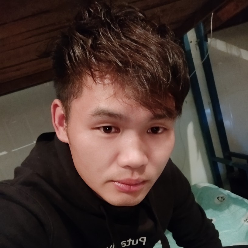战斗机55220的照片