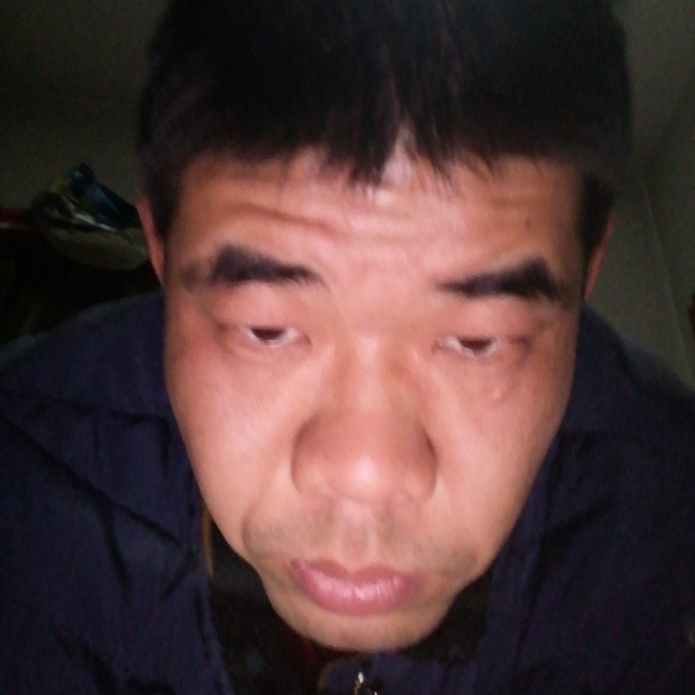 优雅方小松鼠的照片