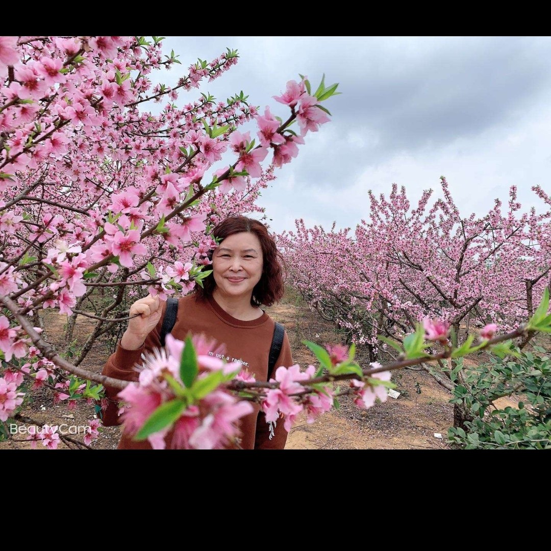 会员113731246的照片