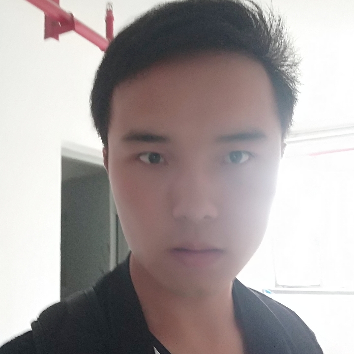 追梦骆驼的照片