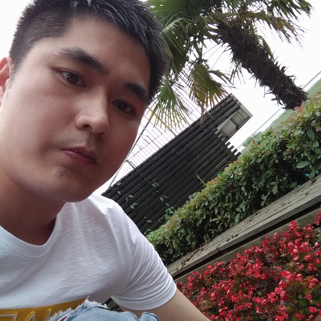 蛋挞苗条的照片