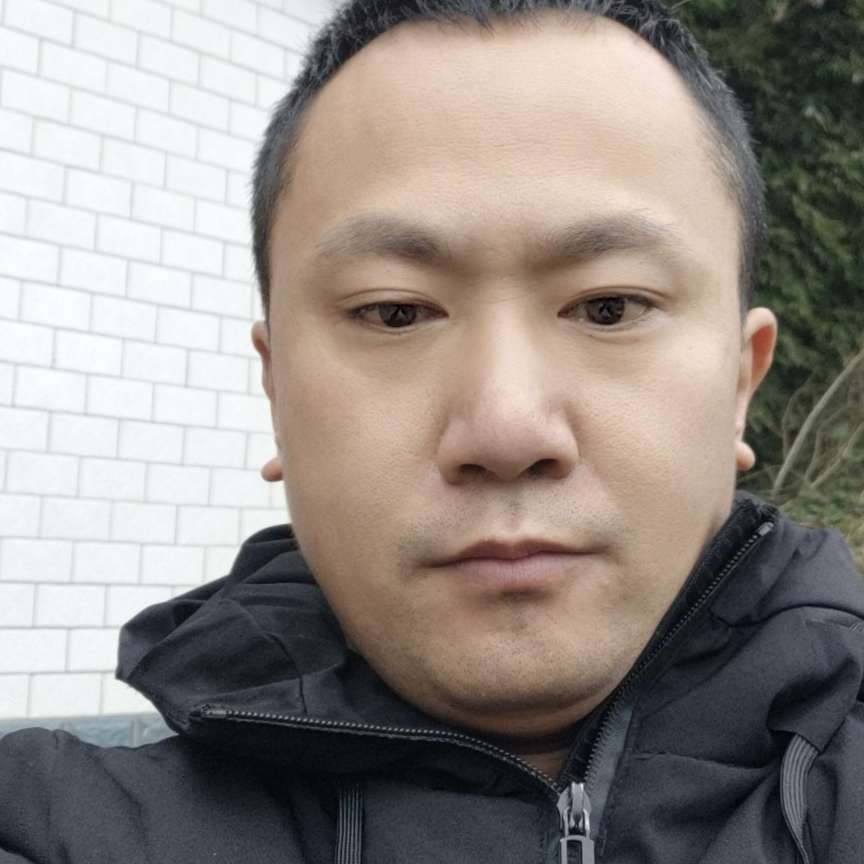 歌曲回眸精明的照片