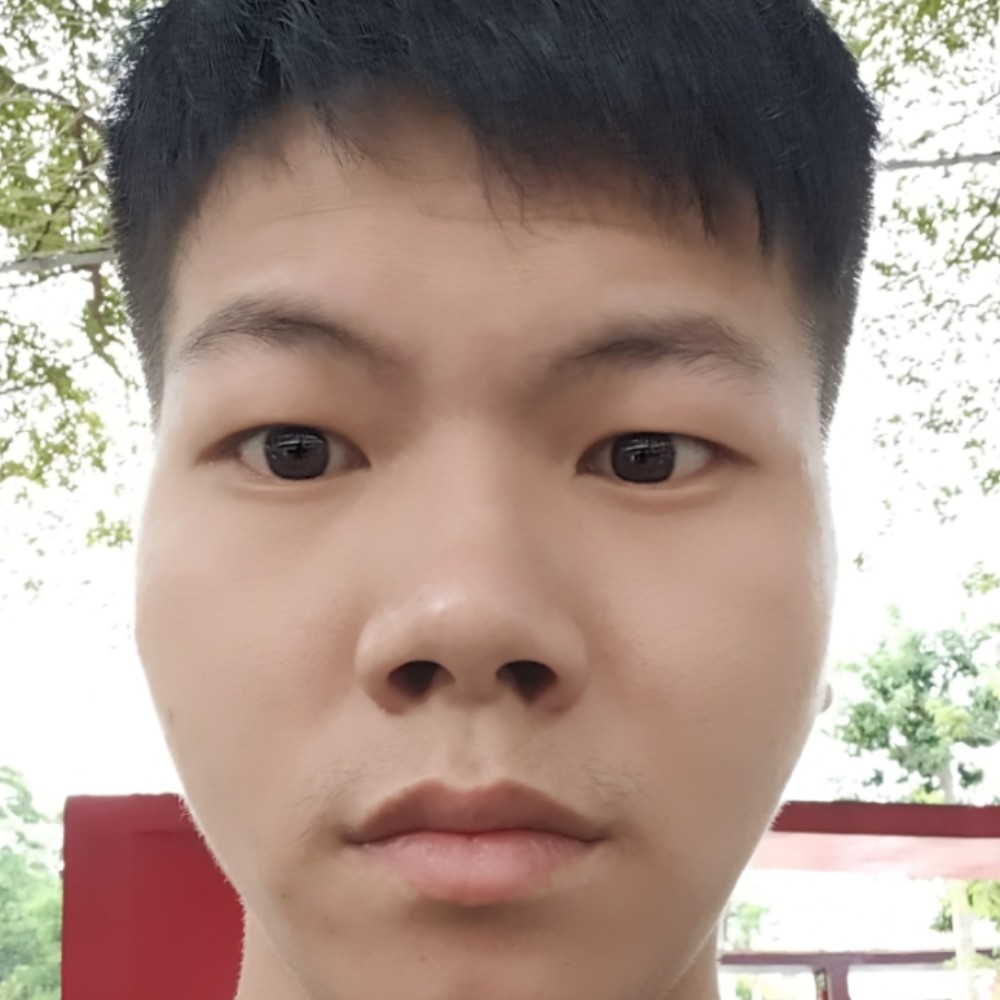 初夏爱红玫瑰的照片