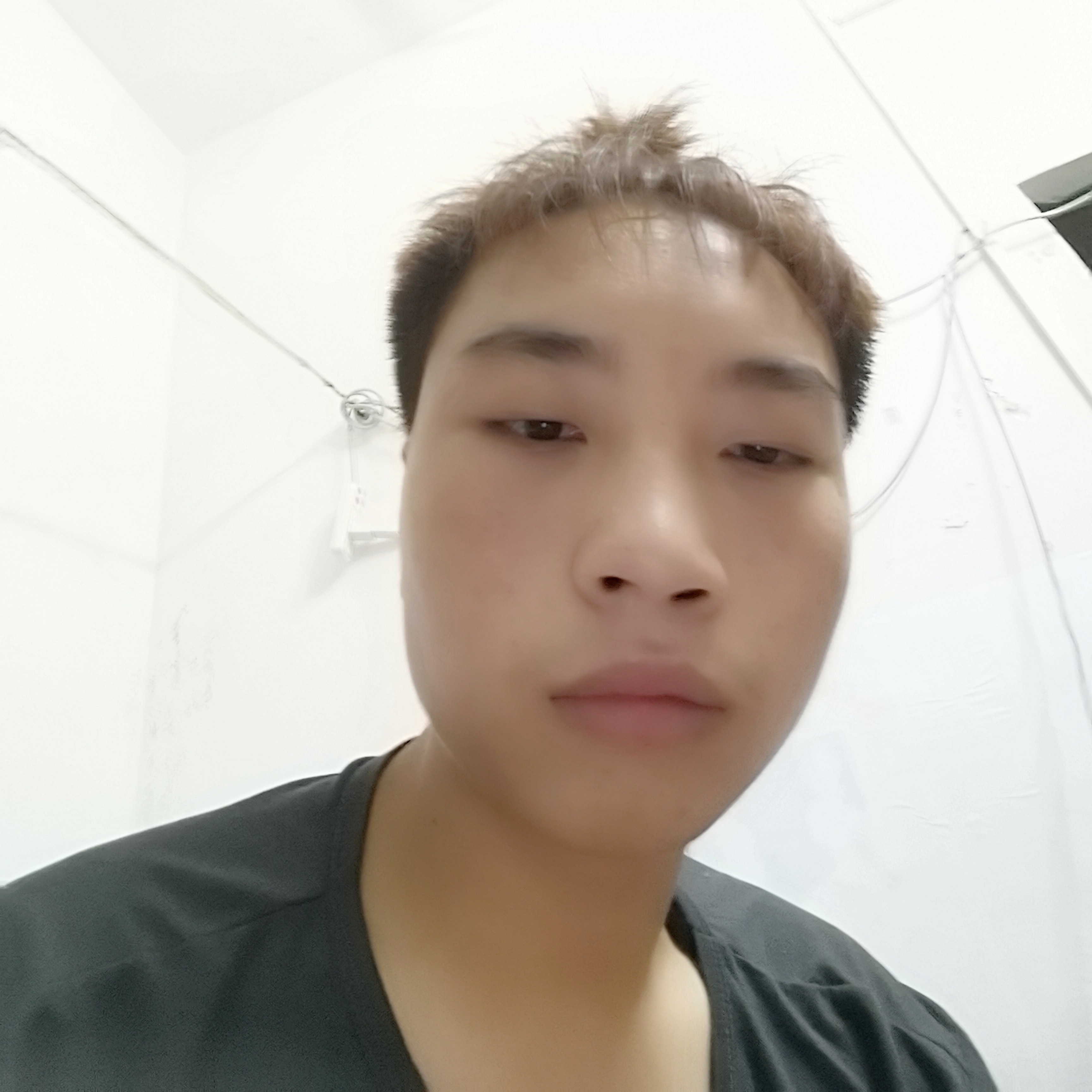 猎豹还丰富的照片