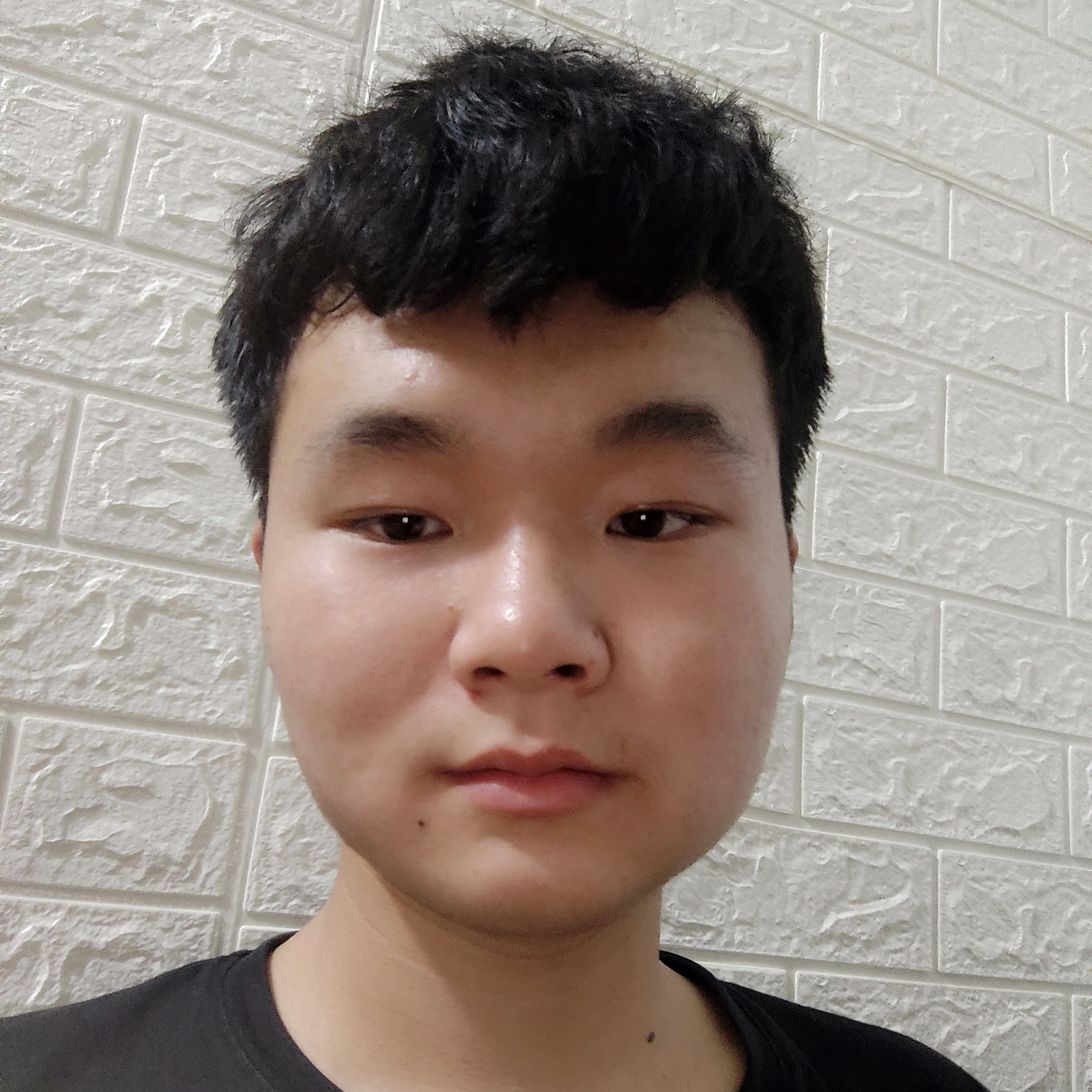冷酷给小海豚的照片