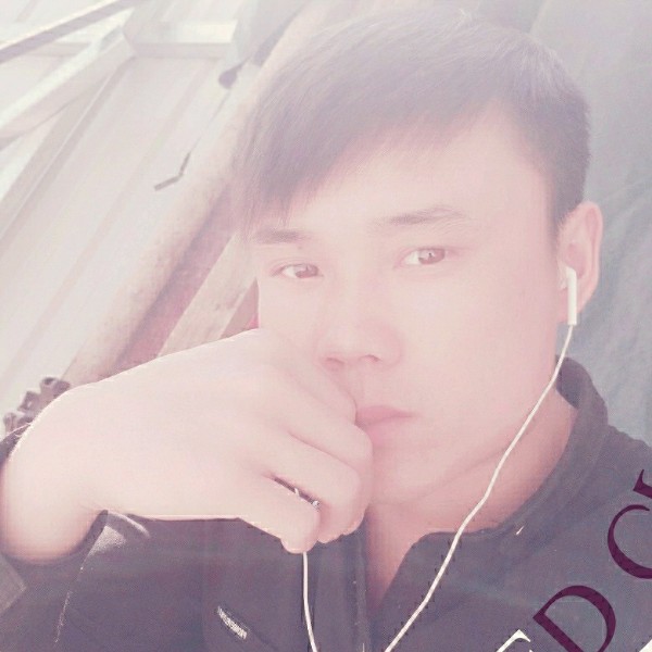 老鼠平常的照片