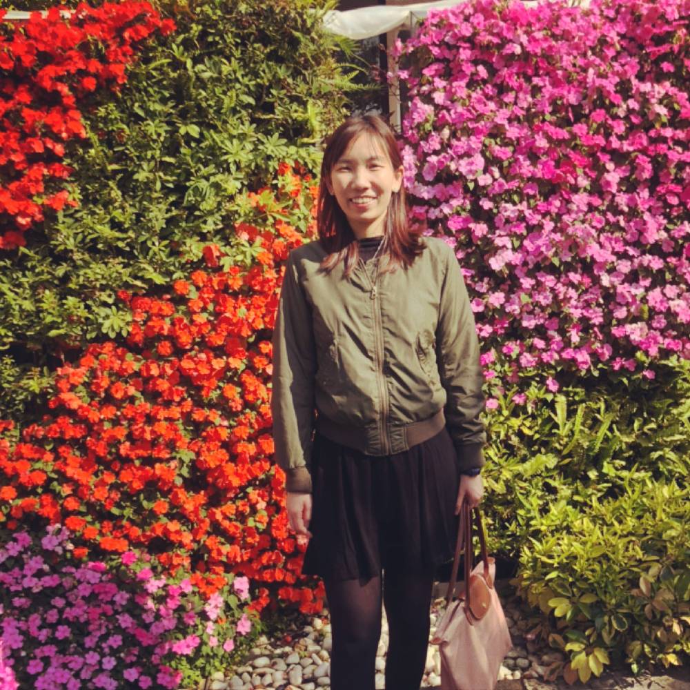 棉花糖彩虹的照片