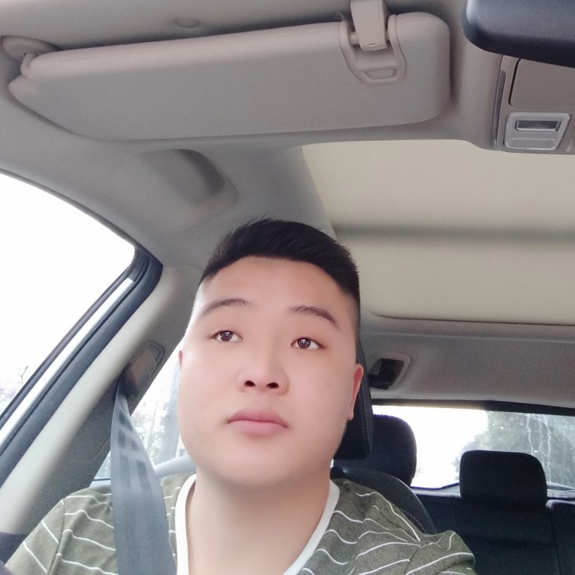 回来吧！的照片