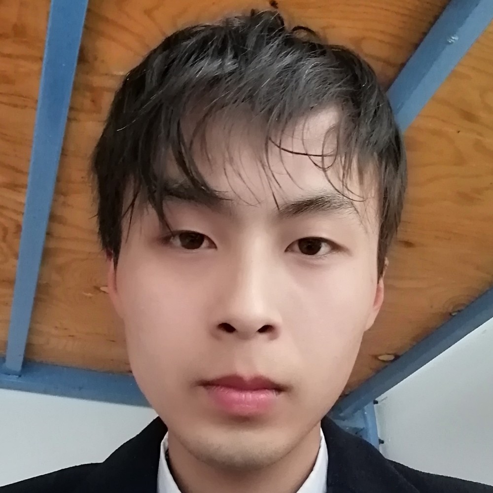 灰狼时尚的照片