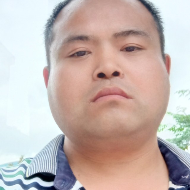 照苦海的照片