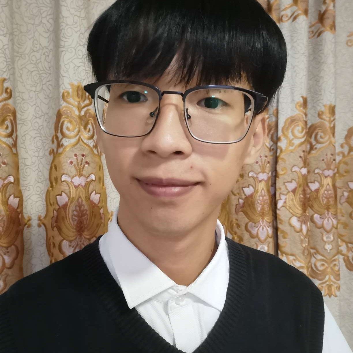 冬瓜苗条的照片