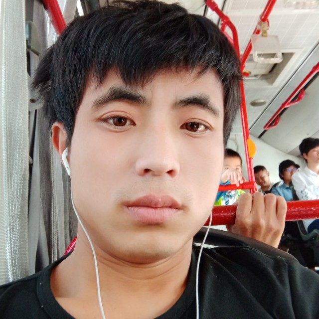 雀太郎。的照片