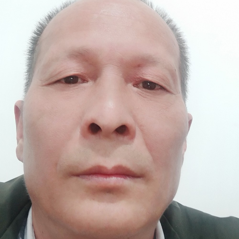 朴实停止网络的照片