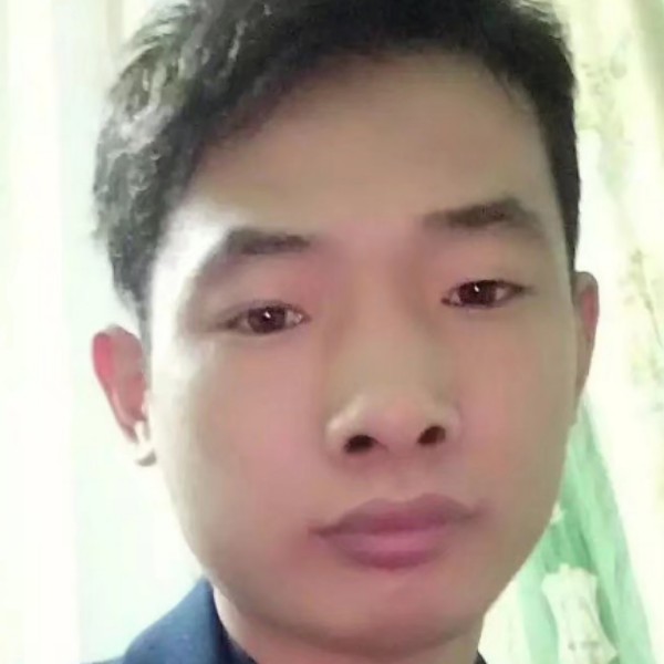 小猫咪调皮的照片