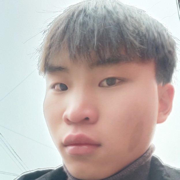 月光下的夜晚的照片