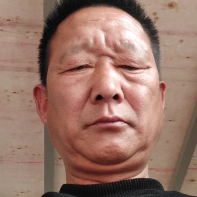 老鼠打寂寞的照片