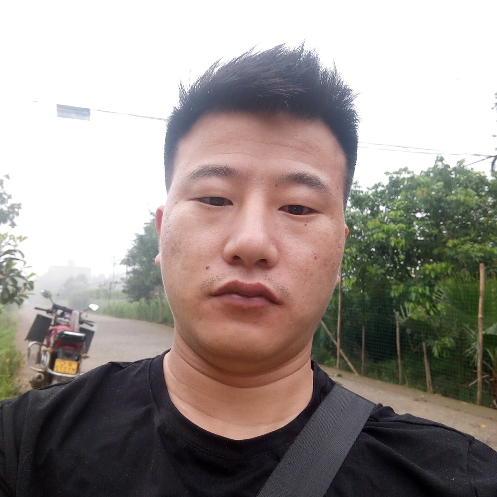 看着办吧的照片