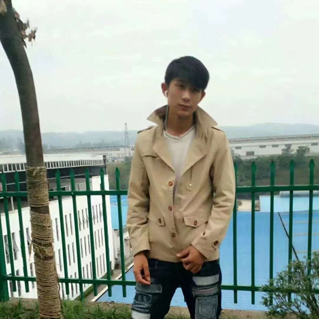 温柔漫步母鸡的照片