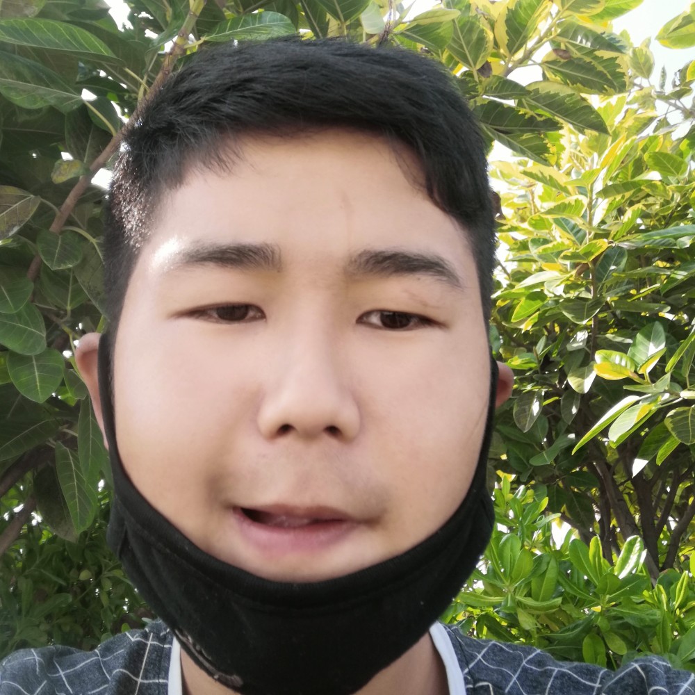 野狼凝眸潇洒的照片