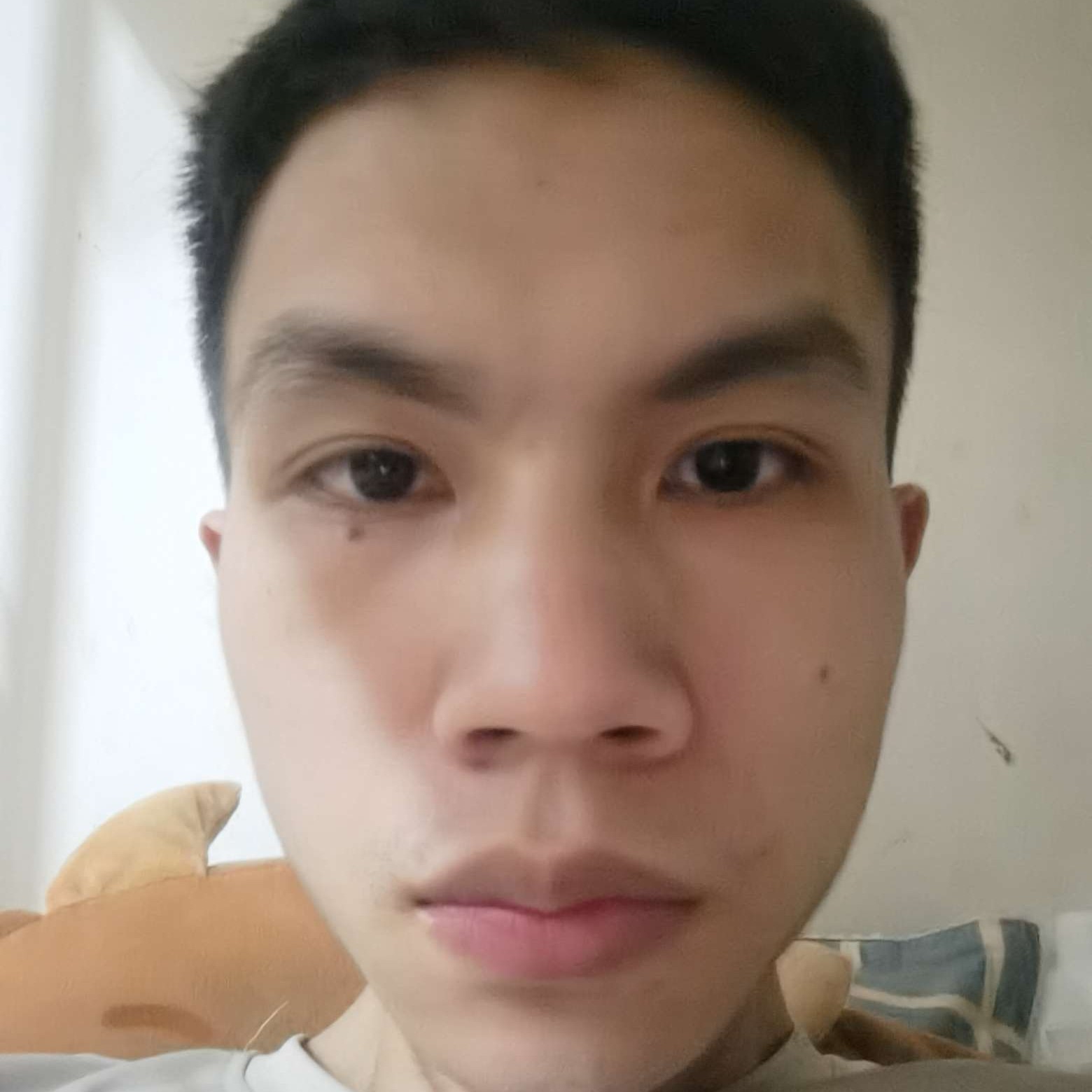 发嗲说斑马的照片