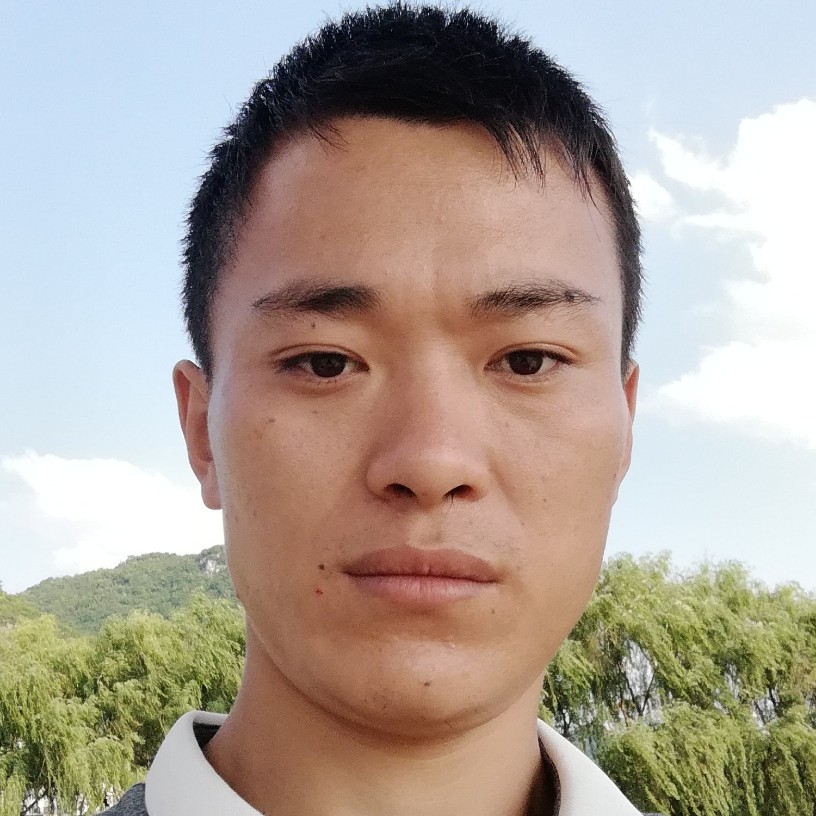 无限刺猬的照片