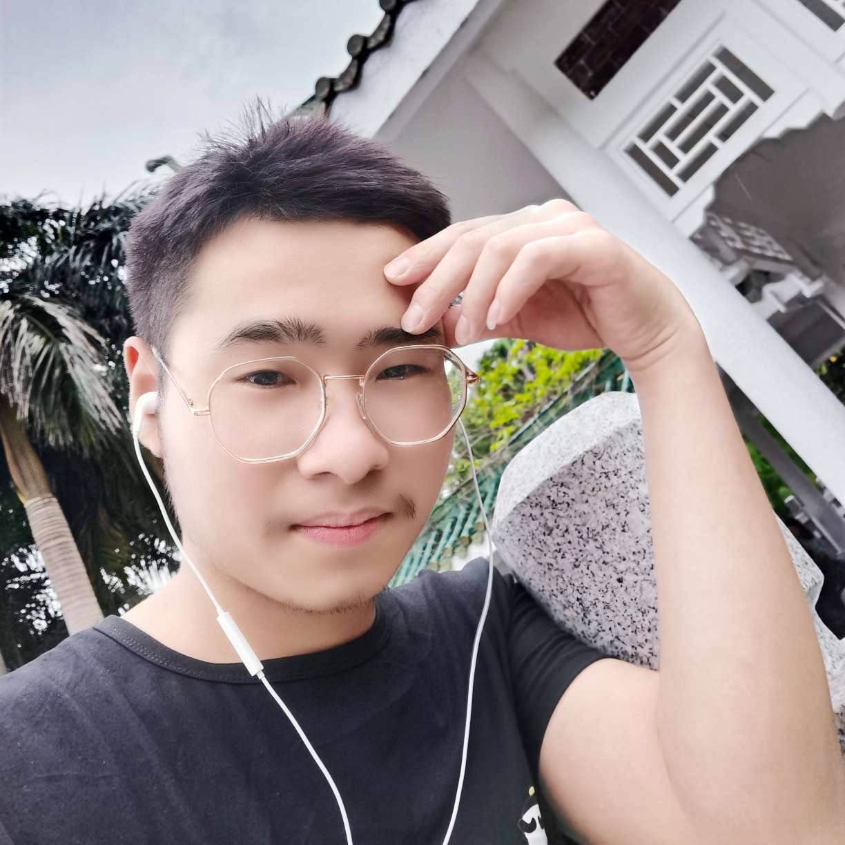 细心的星愿的照片