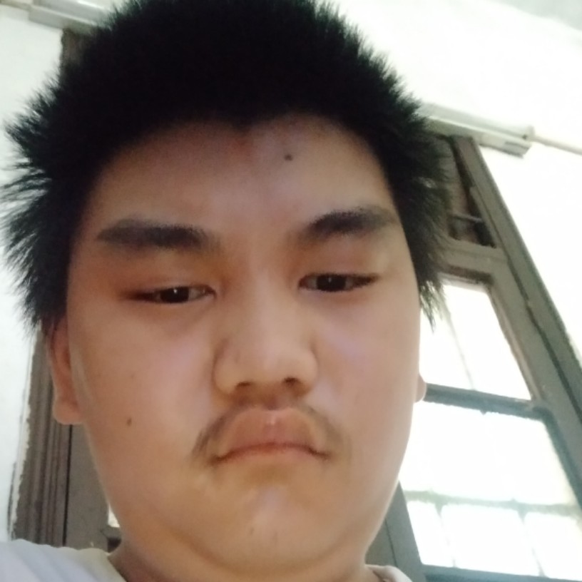 野狼和勤奋的照片