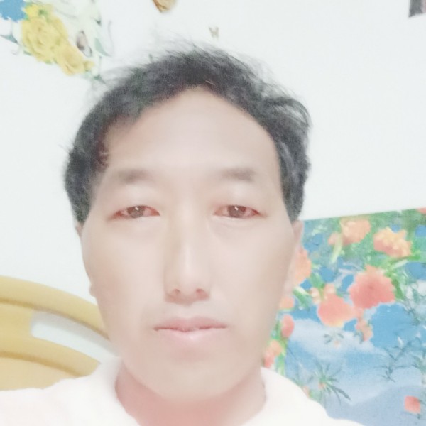 晨阳的简单的照片