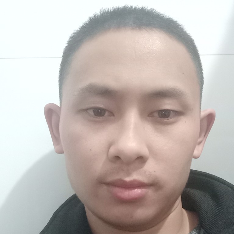 斑马爱恋炙热的照片
