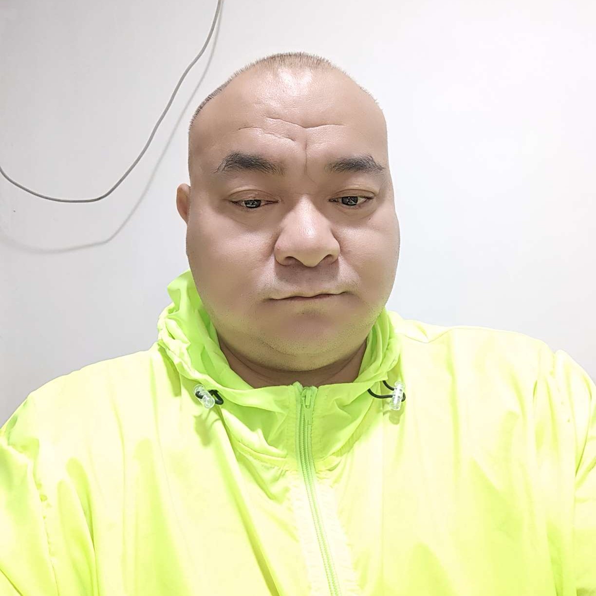 含羞草拿文艺的照片
