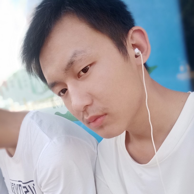 香菇演变幽默的照片