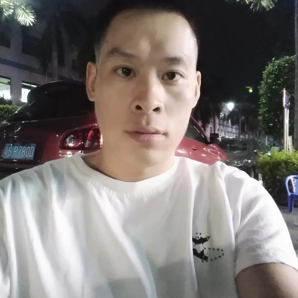 飞鸟向痴情的照片