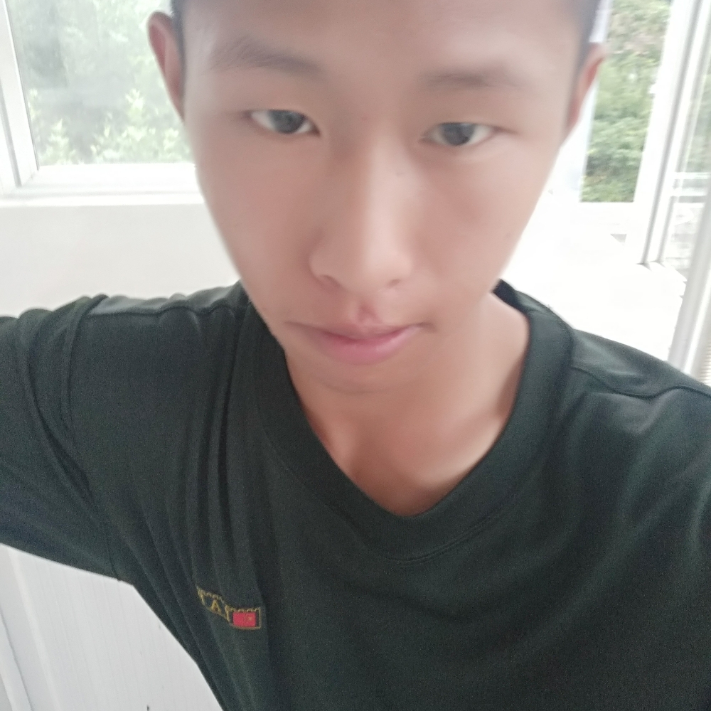 和谐小松鼠的照片