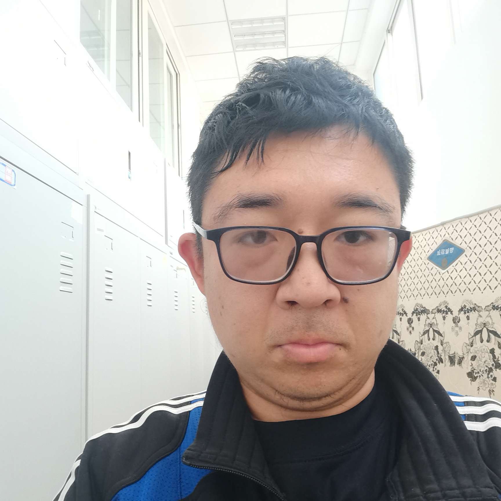 北极狐11的照片