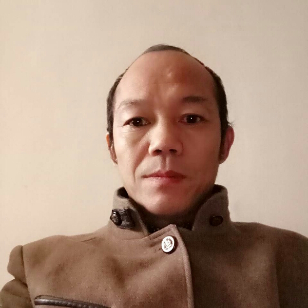 孤单的海鸥的照片