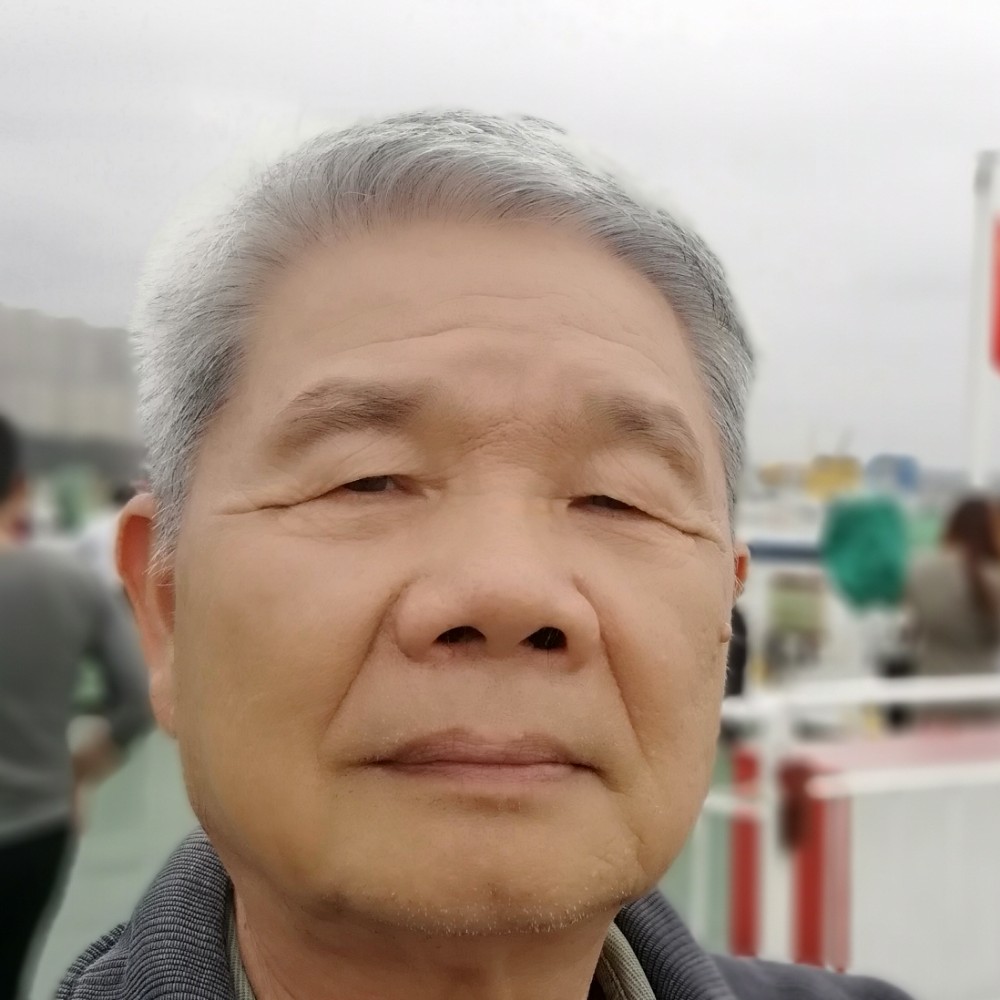 大树苦恋洁净的照片