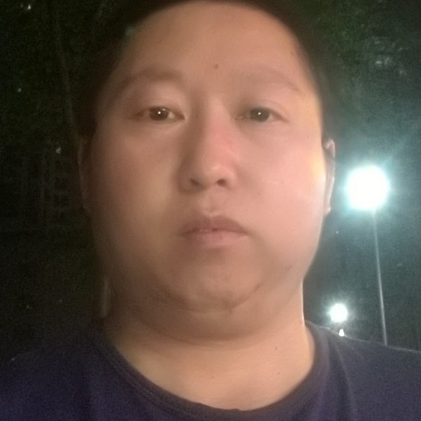 狗爱恋透彻的照片