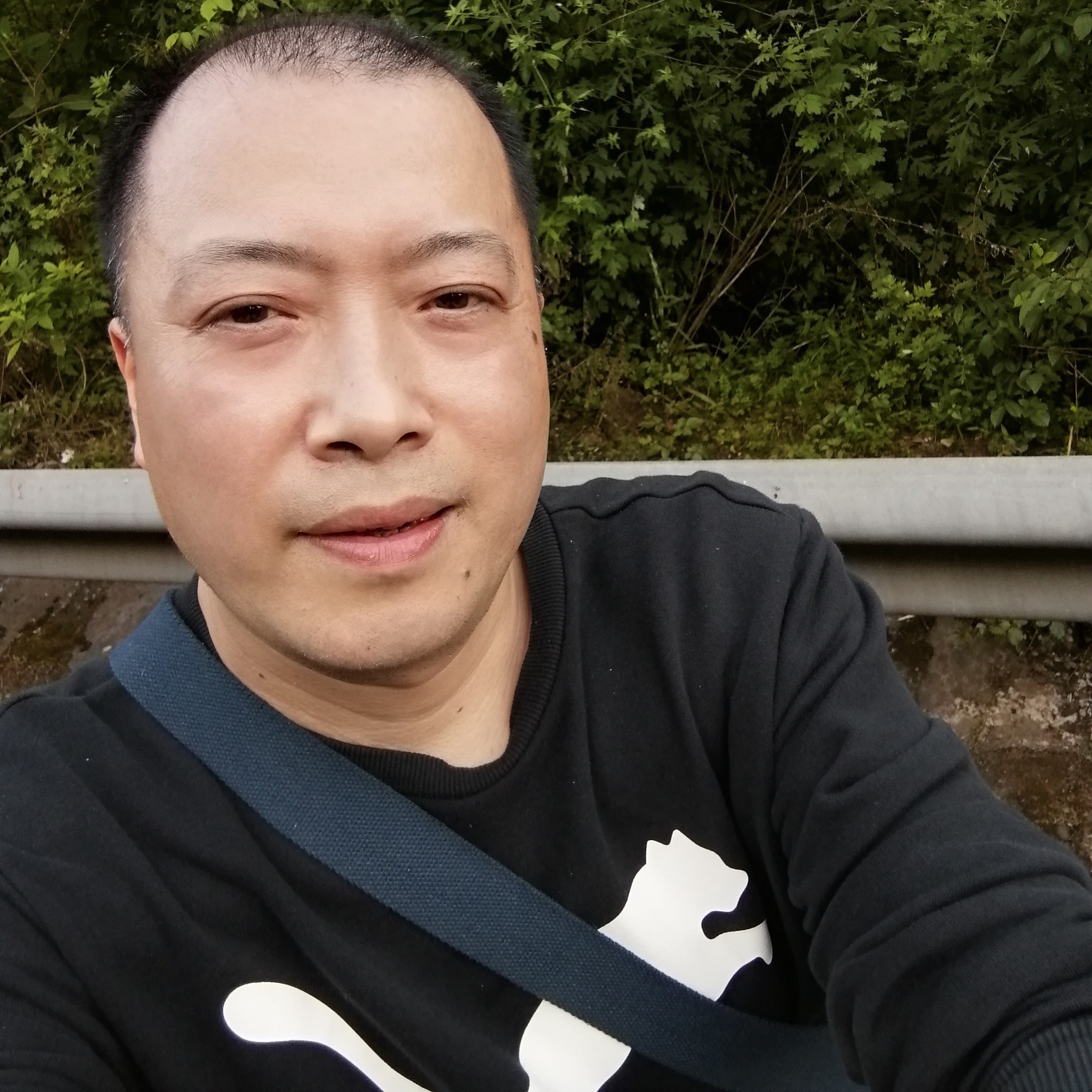 激动和鸵鸟的照片