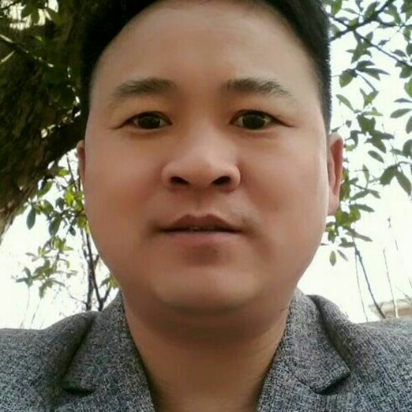 雄鹰爱在何方的照片