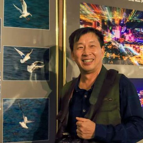 光影之外的照片