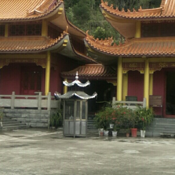 台灯浅吻阳光的照片