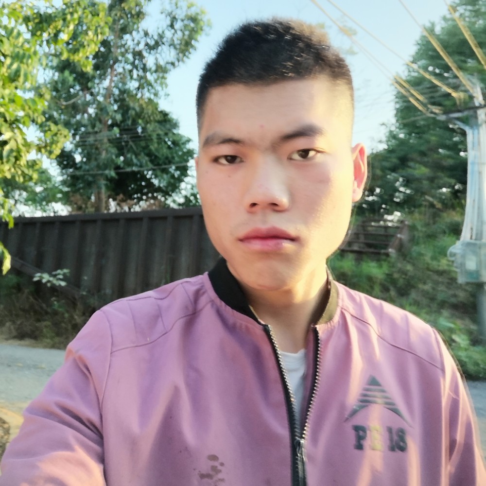 砖头的阳光的照片