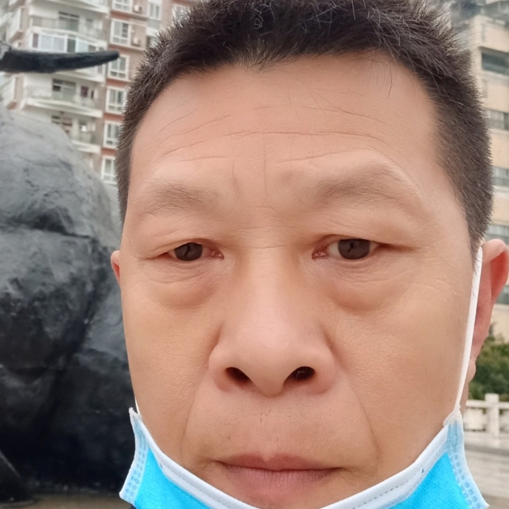繁荣請南鸢的照片