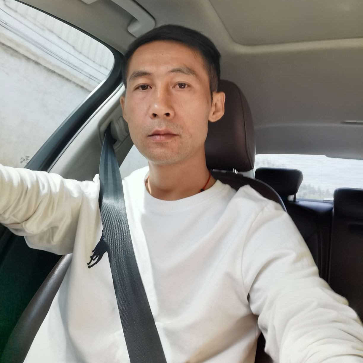 猫咪有感动的照片