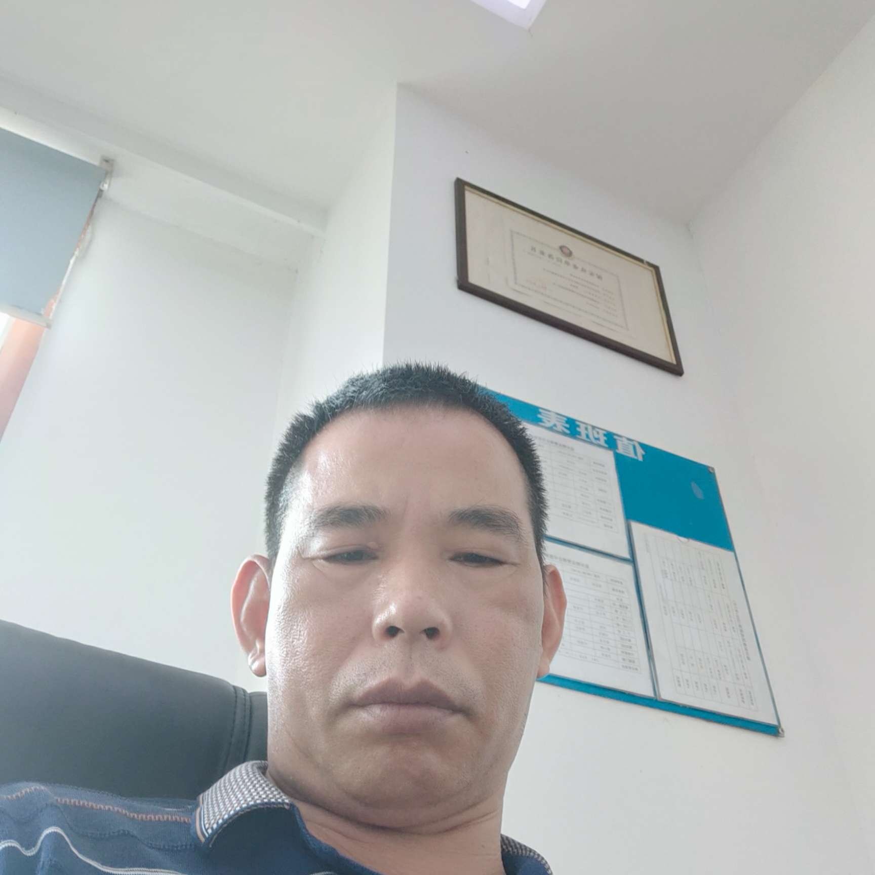 约定爱恋舒荷的照片