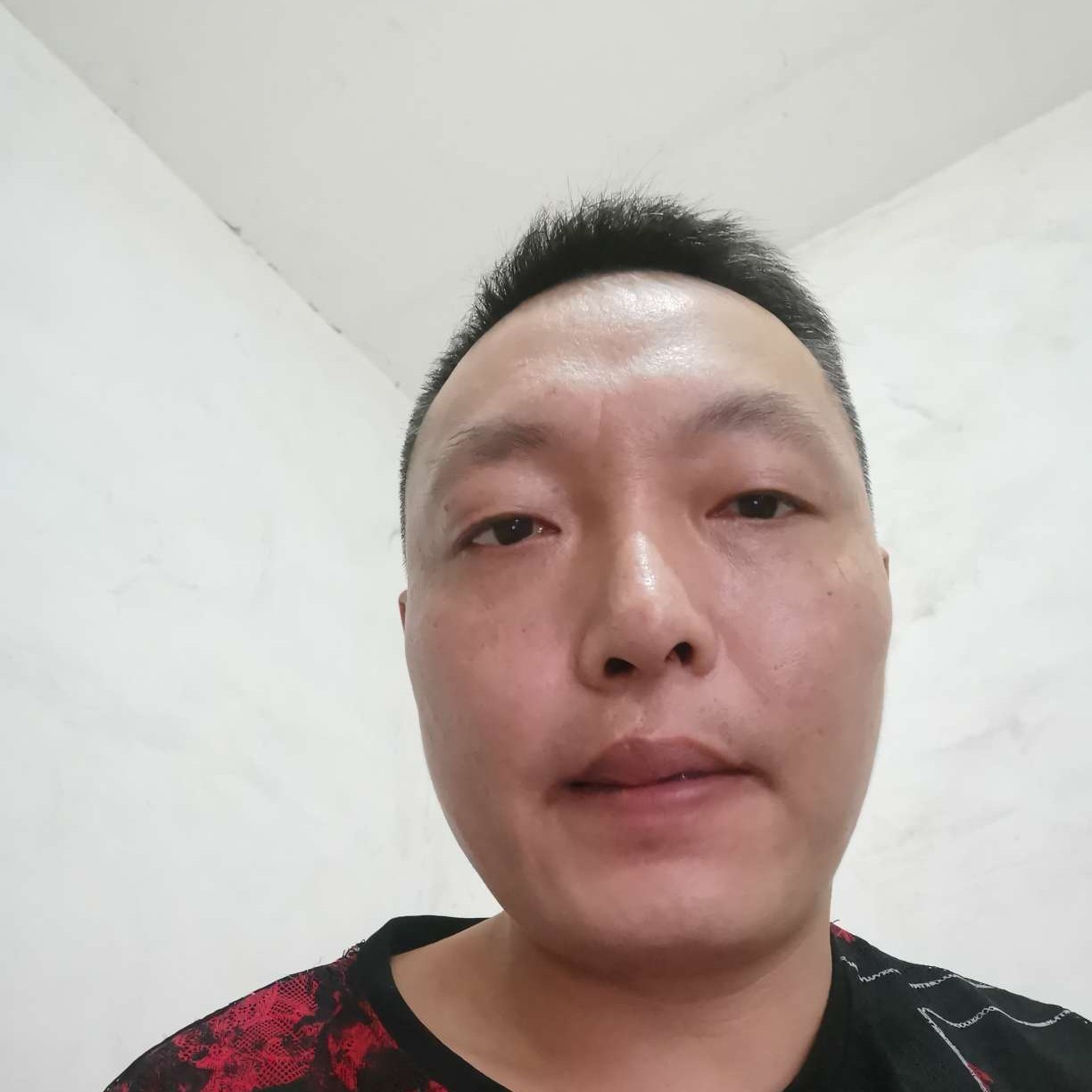 大树拾忆怡然的照片