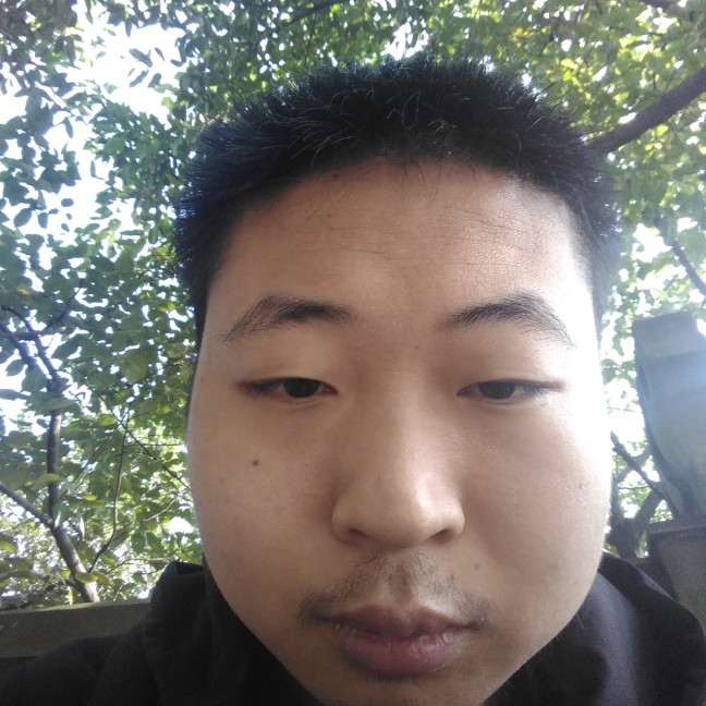 电脑苗条的照片