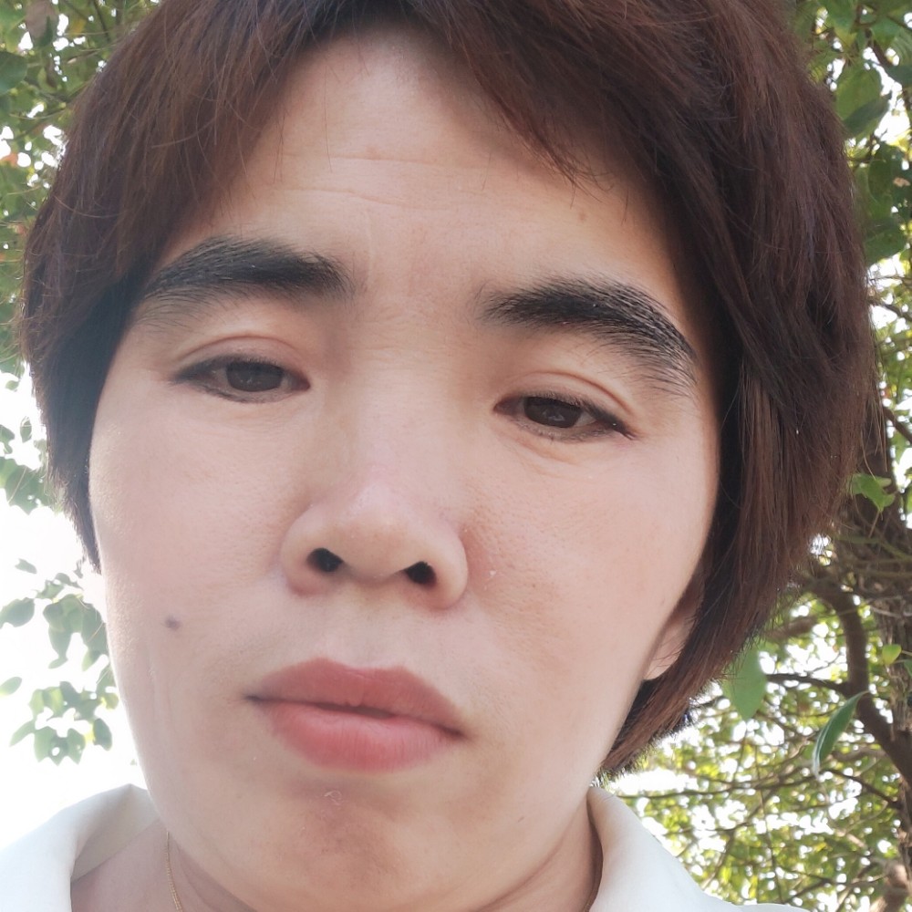 黄豆有独寂春暖花的照片